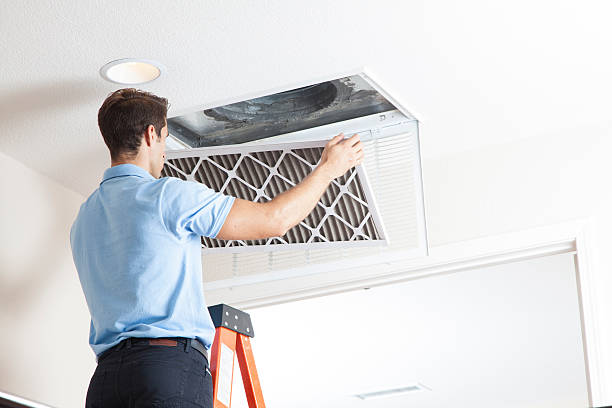 Best Air Filters and Purifiers in Merrifield, VA